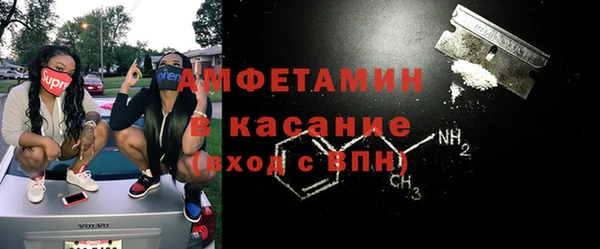 сатива Балахна