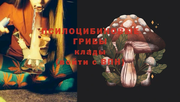 МДПВ Баксан