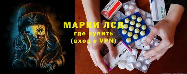 сатива Балахна