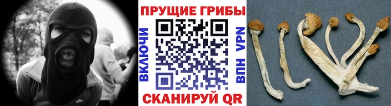 Галлюциногенные грибы мухоморы  МЕГА сайт  Озёры 